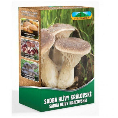 Hliva kráľovská máčková - Pleurotus eryngii - sadivo - 250 ml