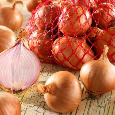 Cibuľa šalotka Red Sun - Allium cepa - cibuľky - 250 g