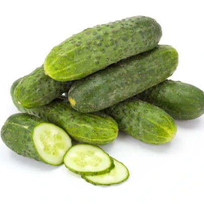 BIO Uhorka nakladačka F1 Diamant - Cucumis sativus - bio semená - 8 ks