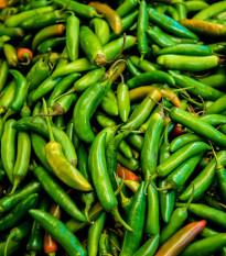 Chilli Serrano Tampiqueno - Capsicum annuum - semená - 7 ks