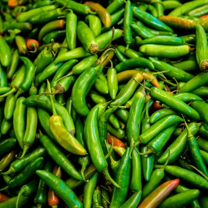 Chilli Serrano Tampiqueno - Capsicum annuum - semená - 7 ks