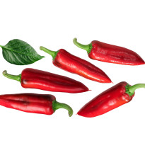 Paprika Hodonínska sladká - Capsicum Annum - semená - 90 ks