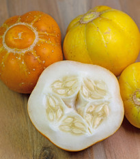 BIO uhorka Lemon - Cucumis sativus - bio semená - 8 ks