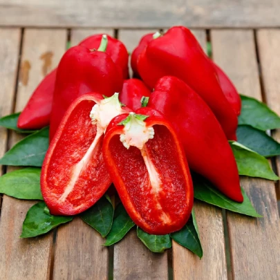 Paprika Snackling Red - Capsicum annuum - semená - 5 ks