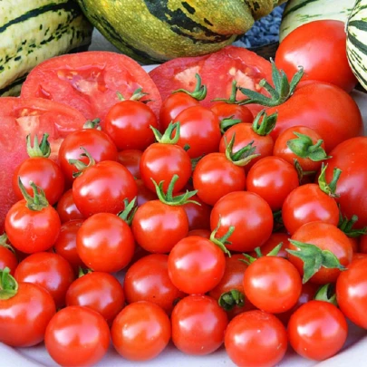 Paradajka Sweet Aperitif - Solanum lycopersicum - semená - 6 ks