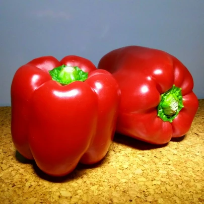 Paprika Babybell červená - Capsicum annuum - semená - 8 ks