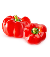 Paprika Slávka F1 ročná – Capsicum annuum – predaj semien