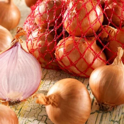 Cibuľa šalotka Red Sun - Allium Cepa - cibuľky - 250 g