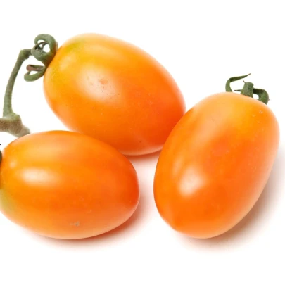 Paradajka Datlo - Solanum lycopersicum - semená - 10 ks