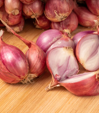 Cibuľa šalotka červená Sante - Allium Cepa - cibuľky - 500 g