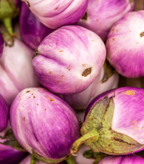 BIO Baklažán Rosa Bianca - Solanum melongena - bio semená - 8 ks