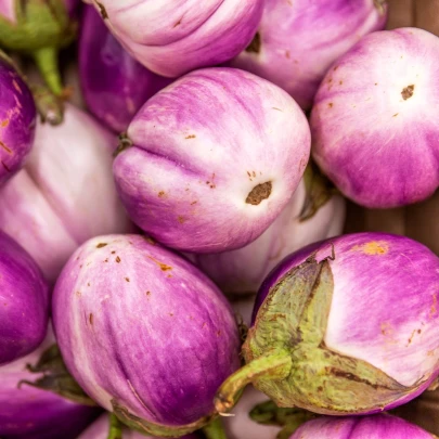 BIO Baklažán Rosa Bianca - Solanum melongena - bio semená - 8 ks