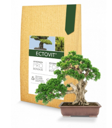 Ectovit Bonsai - mykorhíza pre bonsaje - Symbiom - 100 g