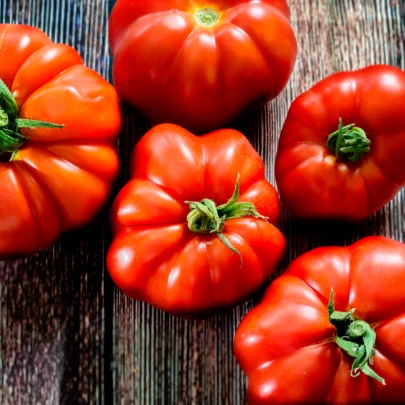 Paradajka Marmande - Solanum lycopersicum - semená - 20 ks