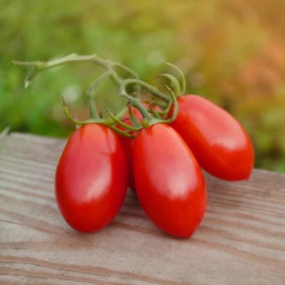 Paradajka Ravello - Solanum lycopersicum - semená - 4 ks