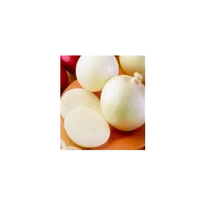 Cibuľa jarná biela - lahôdková - semená - 1 g