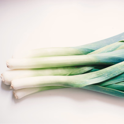 Pór zimný D´Elbeuf - Allium porrum - semená - 200 ks