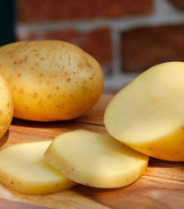 BIO sadbové zemiaky Belana - Solanum tuberosum - zemiaky - 10 ks