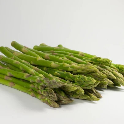 Špargľa lekárska Mary Washington - Asparagus officinalis - semená - 20 ks