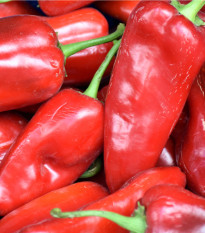 BIO Paprika Atris F1 - Capsicum annuum - bio semená - 5 ks