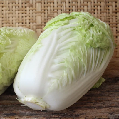 Kapusta pekinská Granaat - Brassica pekinensis - semená - 200 ks