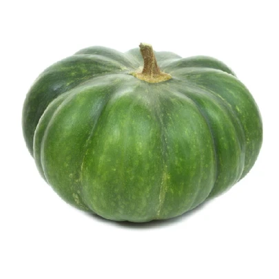 BIO Tekvica Muscat De Provence - Cucurbita Moschata - bio semená - 5 ks