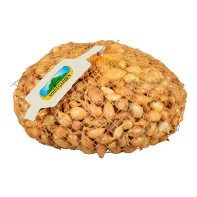 Cibuľa sadzačka Všetana - Allium cepa - cibuľky - 250 g