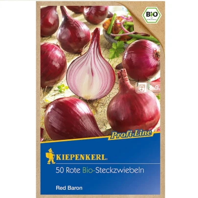 BIO Cibuľa sadzačka Red Baron - Allium cepa - bio cibuľky - 50 ks